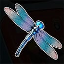 Big Bass Bonanza Dragonfly