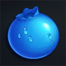 Jammin Jars Blueberry