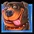 The Dog House Rotwailer